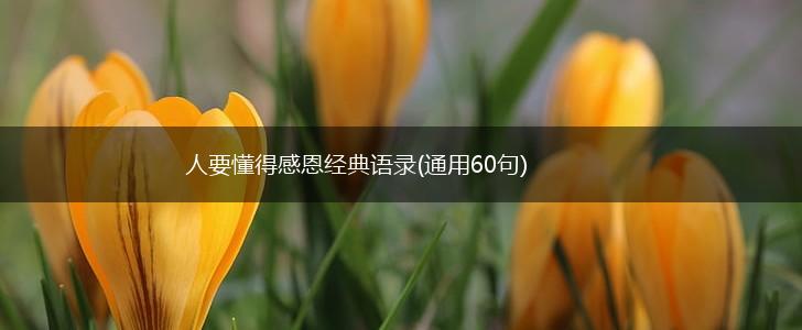 人要懂得感恩经典语录(通用60句),第1张