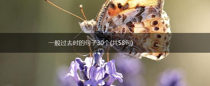 一般过去时的句子30个(共58句),第1张