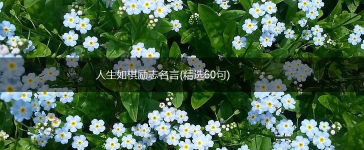 人生如棋励志名言(精选60句),第1张