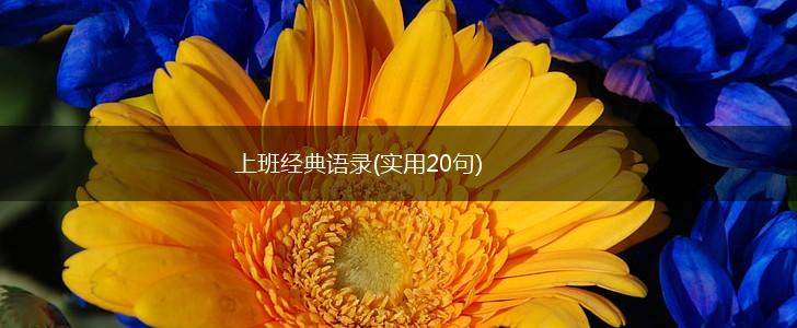 上班经典语录(实用20句),第1张