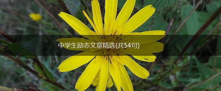 中学生励志文章精选(共54句),第1张