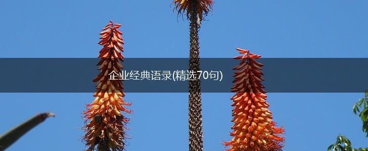 企业经典语录(精选70句),第1张