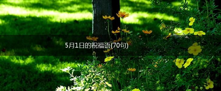 5月1日的祝福语(70句),第1张