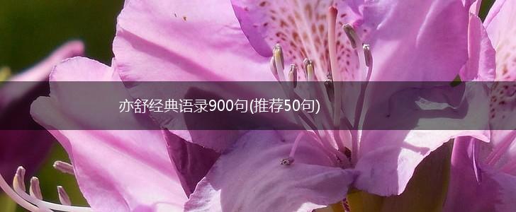 亦舒经典语录900句(推荐50句),第1张