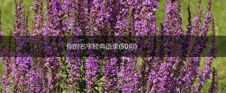 你的名字经典语录(50句),第1张
