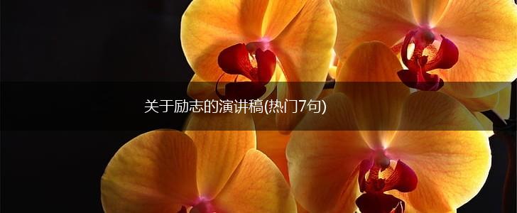 关于励志的演讲稿(热门7句),第1张
