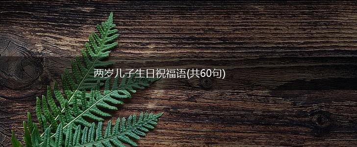 两岁儿子生日祝福语(共60句),第1张