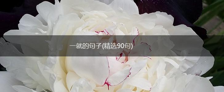 一就的句子(精选90句),第1张