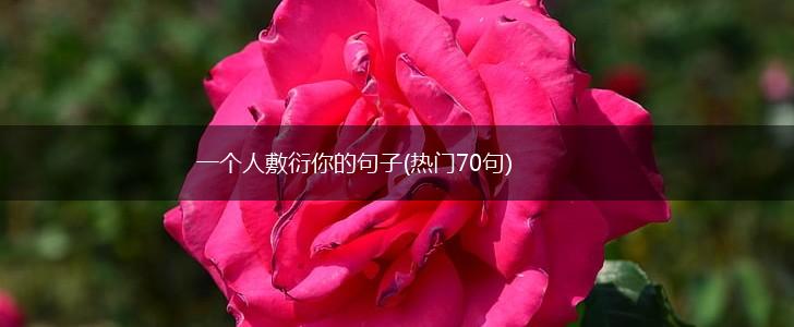 一个人敷衍你的句子(热门70句),第1张