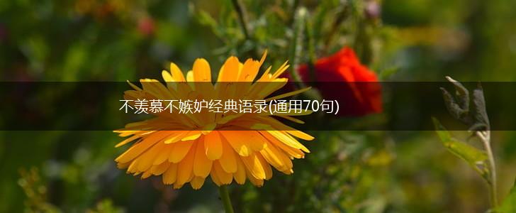 不羡慕不嫉妒经典语录(通用70句),第1张