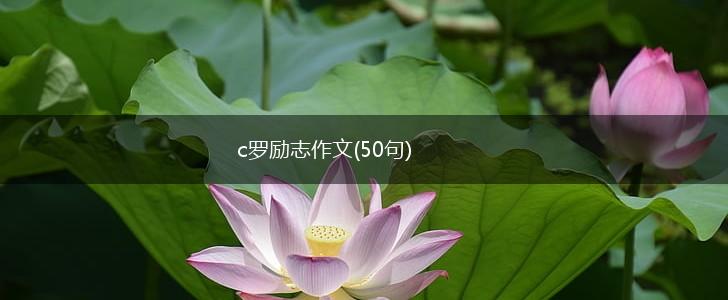c罗励志作文(50句),第1张