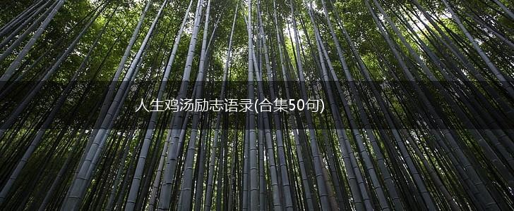 人生鸡汤励志语录(合集50句),第1张
