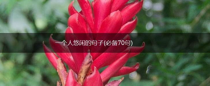 一个人悠闲的句子(必备70句),第1张