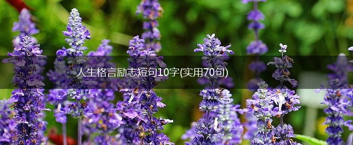 人生格言励志短句10字(实用70句),第1张
