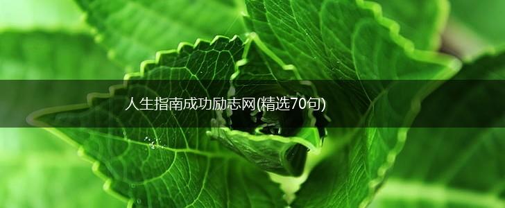人生指南成功励志网(精选70句),第1张