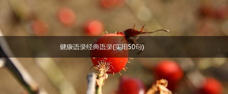 健康语录经典语录(实用50句),第1张