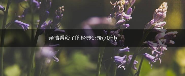 亲情看淡了的经典语录(70句),第1张