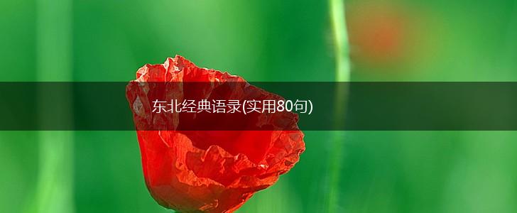东北经典语录(实用80句),第1张