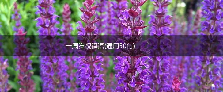 一周岁祝福语(通用50句),第1张
