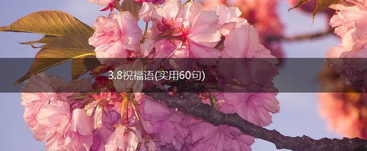 3.8祝福语(实用60句),第1张