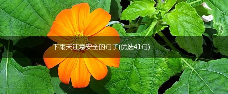 下雨天注意安全的句子(优选41句),第1张