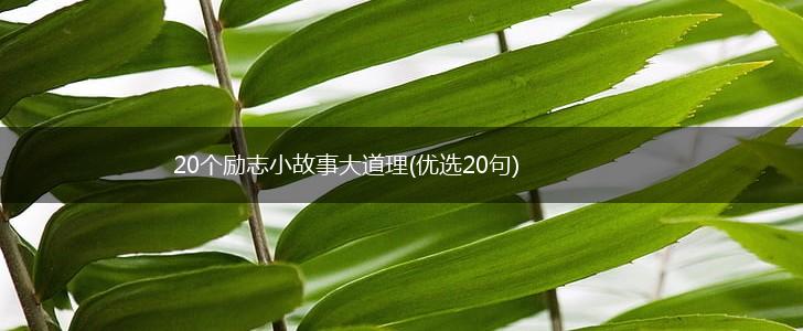 20个励志小故事大道理(优选20句),第1张