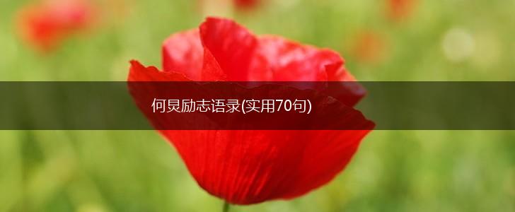 何炅励志语录(实用70句),第1张