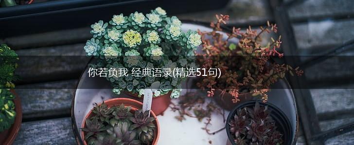 你若负我 经典语录(精选51句),第1张