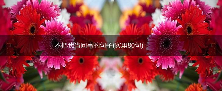 不把我当回事的句子(实用80句),第1张