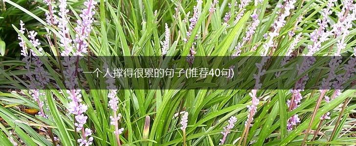 一个人撑得很累的句子(推荐40句),第1张