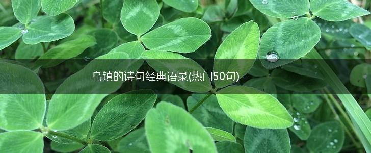 乌镇的诗句经典语录(热门50句),第1张