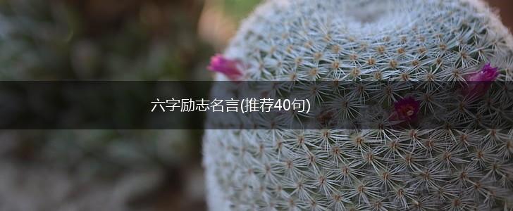 六字励志名言(推荐40句),第1张