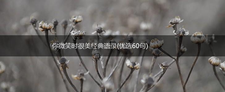 你微笑时很美经典语录(优选60句),第1张