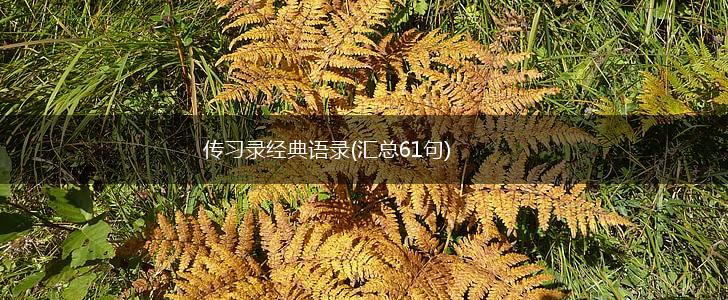 传习录经典语录(汇总61句),第1张