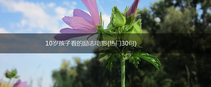 10岁孩子看的励志电影(热门30句),第1张