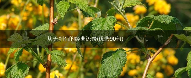 从无到有的经典语录(优选90句),第1张