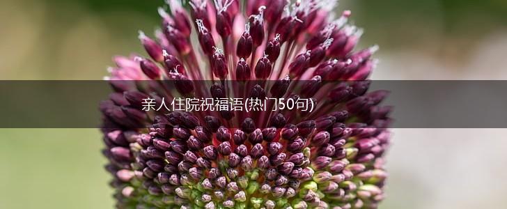 亲人住院祝福语(热门50句),第1张