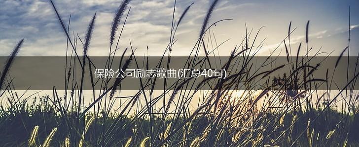 保险公司励志歌曲(汇总40句),第1张