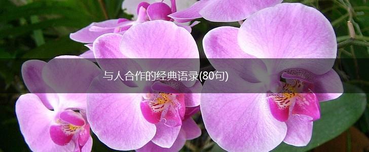 与人合作的经典语录(80句),第1张