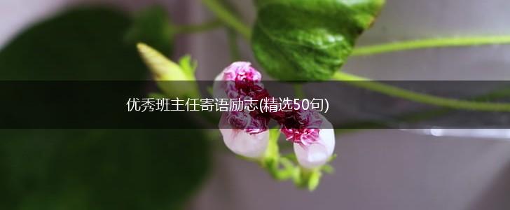 优秀班主任寄语励志(精选50句),第1张