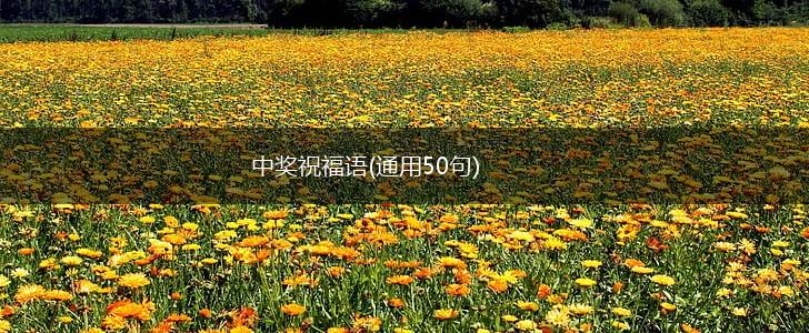 中奖祝福语(通用50句),第1张