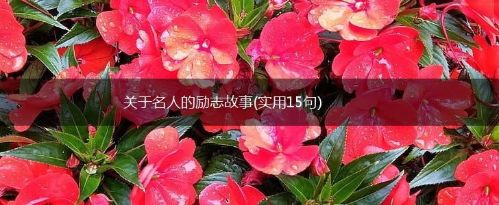 关于名人的励志故事(实用15句),第1张