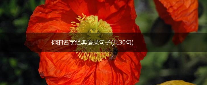你的名字经典语录句子(共30句),第1张