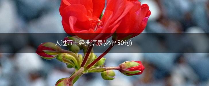 人过五十经典语录(必备50句),第1张