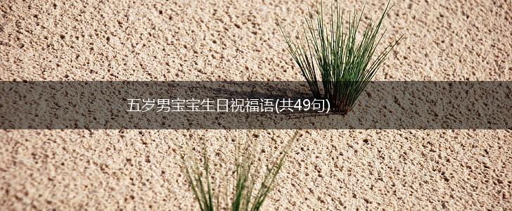 五岁男宝宝生日祝福语(共49句),第1张