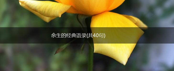 余生的经典语录(共40句),第1张