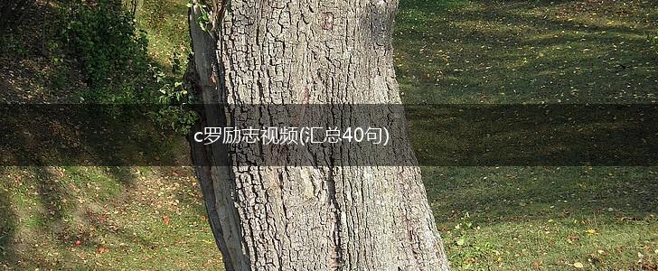 c罗励志视频(汇总40句),第1张