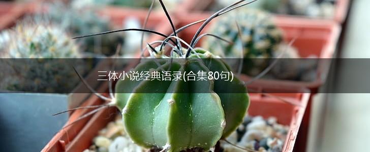 三体小说经典语录(合集80句),第1张