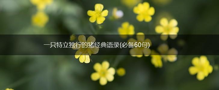 一只特立独行的猪经典语录(必备60句),第1张