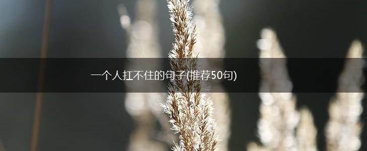一个人扛不住的句子(推荐50句),第1张
